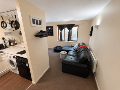 Picture 5